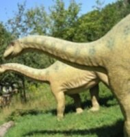 Новый вид динозавра обнаружен в Южной Африке.