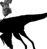 Обнаружены останки самого маленького динозавра весившего всего 200 граммов